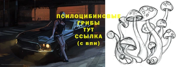 apvp Абаза