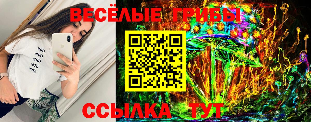 Галлюциногенные грибы мицелий Шали