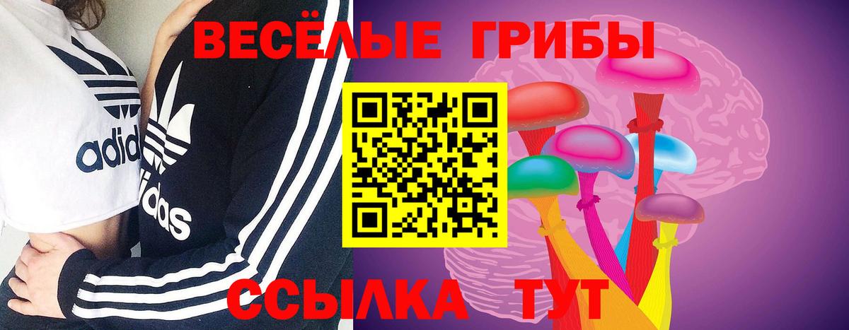 Шали  Псилоцибиновые грибы GOLDEN TEACHER  Вход с VPN 